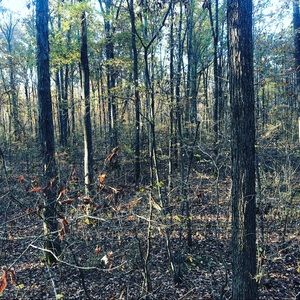 Meet your Posher, Hunter